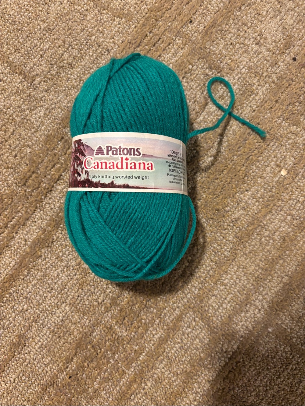 Patons Canadiana Worsted Yarn Christmas 
 Green